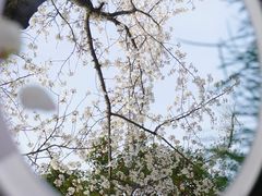 -阳澄湖费尔蒙酒店