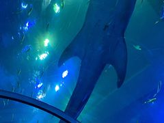 -成都浩海立方海洋公园