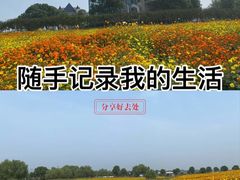-花博汇(知音花月夜)