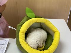 -美迦爱-牙专科·兔科·骨科诊疗中心(北苑店)