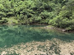 -大奇山国家森林公园