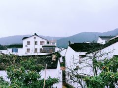 -美味之家·湖景农家乐(太湖东山店)