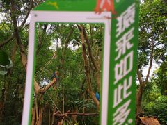 -广州长隆野生动物世界