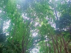 -同里国家湿地公园
