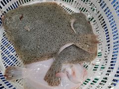 -海之味海鲜大咖·家常菜