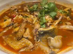 太平湖有机胖头鱼（大份）-魏铭鱼头捞饭(晋阳路店)