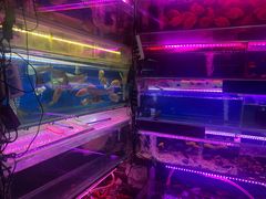 -双季花艺园艺市场(浦东店)