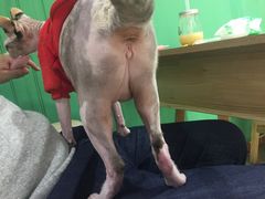 -藏猫猫咖啡主题馆(中央大道店)