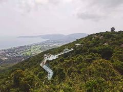 -亚龙湾热带天堂森林公园