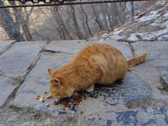 -终南山南五台景区