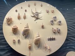-中国（海南）南海博物馆