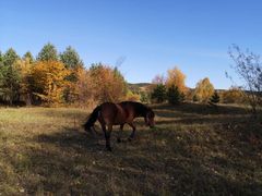 -北极村旅游风景区