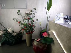 -翎兰瑜伽·普拉提