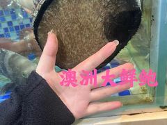 -欧记·龙城港(欣都龙城店)