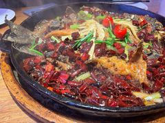 -老板恋上鱼(恒隆广场店)