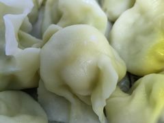 鲜肉大葱-听涛雅苑百味饺子老家菜馆