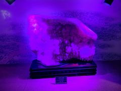 -甘肃地质博物馆