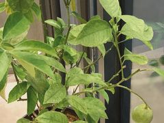 -隹木咖啡馆(宝龙广场店)