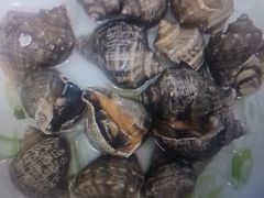 -望海潮海鲜店 特色家常菜(在海一方店)