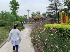 -成飞公园