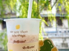 -猫的魔法密林(衣裳街店)