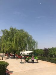 -上美四季动物农场
