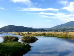 -腾冲北海湿地