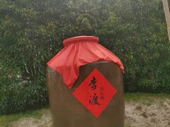 -八大山人梅湖景区