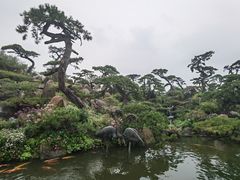 -罗红摄影艺术馆