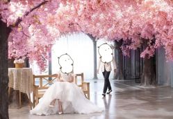 点击看大图 -青禾蒙娜丽莎婚纱摄影(武汉总店)