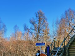 -莫尔道嘎国家森林公园