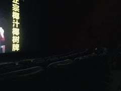 -嘉华国际影城(学清路店)