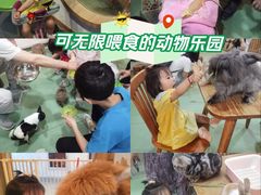 -藦茜花园宠物主题亲子互动体验馆(国顺东路店)