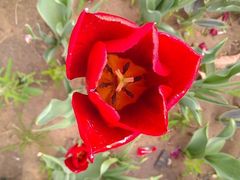 -郑州中国绿化博览园