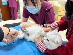-美联众合动物医院·24h转诊中心