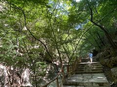 -北京上方山国家森林公园