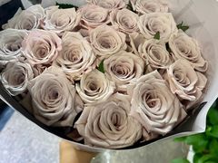 -双季花艺园艺市场(浦东店)