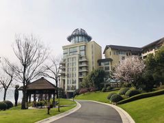 -千岛湖希尔顿休闲艇俱乐部