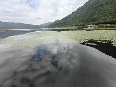 -腾冲北海湿地