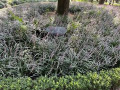 -柯达靓之彩影像网络(明瓦廊店)