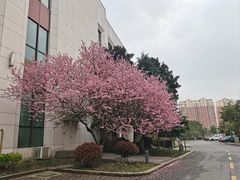 -常熟理文铂尔曼酒店