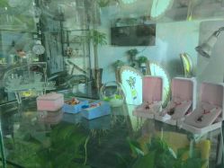 点击看大图 -美年亲子儿童摄影(合肥市滨湖新区金泉小区店)