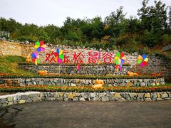 -欢乐松鼠谷