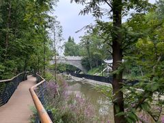 -白水寺森林公园