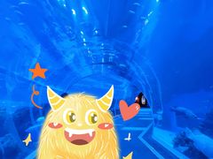 -成都浩海立方海洋公园