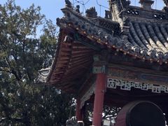 -药王庙(安国市)