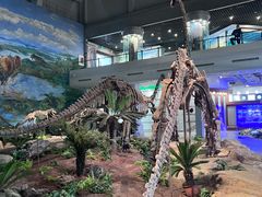 -自贡恐龙博物馆