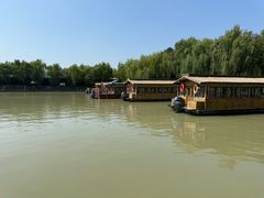 -泗洪洪泽湖湿地景区