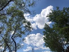 -永定河休闲森林公园