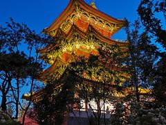 -迎泽公园